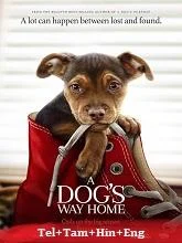 A Dog’s Way Home (2019) Telugu Dubbed