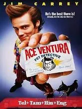 Ace Ventura: Pet Detective (1994) Telugu Dubbed