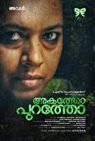 Akatho Puratho (2017) Malayalam