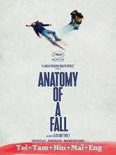 Anatomy of a Fall (2023) Telugu Dubbed