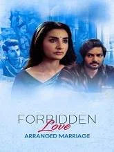 Arranged Marriage (2020) Hindi