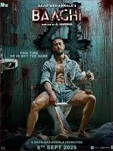 Baaghi 4 (2025) Hindi