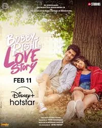 Bobby Aur Rishi Ki Love Story (2025) Hindi