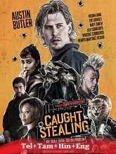 Caught Stealing (2025) Telugu Dubbed