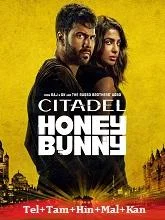 Citadel: Honey Bunny Seaosn 1 (2024) Telugu