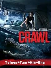 Crawl (2019) [Telugu + Tamil + Hindi + Eng] Dubbed