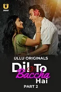Dil To Baccha Hai Part 2 (2024) Hindi