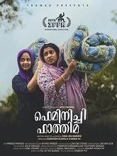 Feminichi Fathima (2025) Malayalam