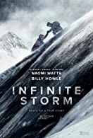 Infinite Storm (2022) Telugu Dubbed