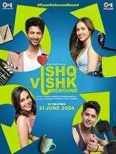 Ishq Vishk Rebound (2024) Hindi