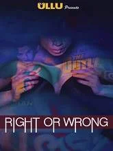 Right Or Wrong (2019) Hindi Season 1