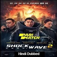 Shock Wave 2 (2020) Hindi Dubbed