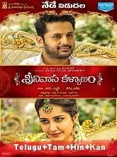 Srinivasa Kalyanam (2018) Telugu