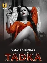 Tadka Season 1 Part 1 (2025) Hindi