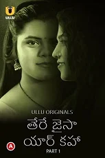 Tere Jaisa Yaar Kaha Part 1 Ullu Originals (2023) Telugu