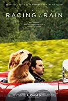 The Art of Racing in the Rain (2019) English