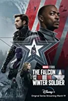 The Falcon and the Winter Soldier Season 01 Episode 06 (2021) Hindi Dubbed