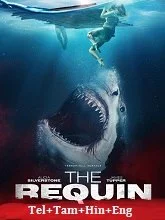 The Requin (2022) Telugu Dubbed