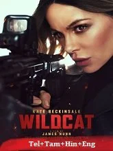 Wildcat (2025) Telugu Dubbed