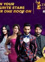 Zee Cine Awards (2019) Hindi