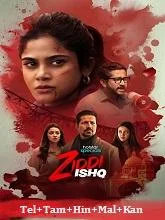 Ziddi Ishq Season 1 (2025)